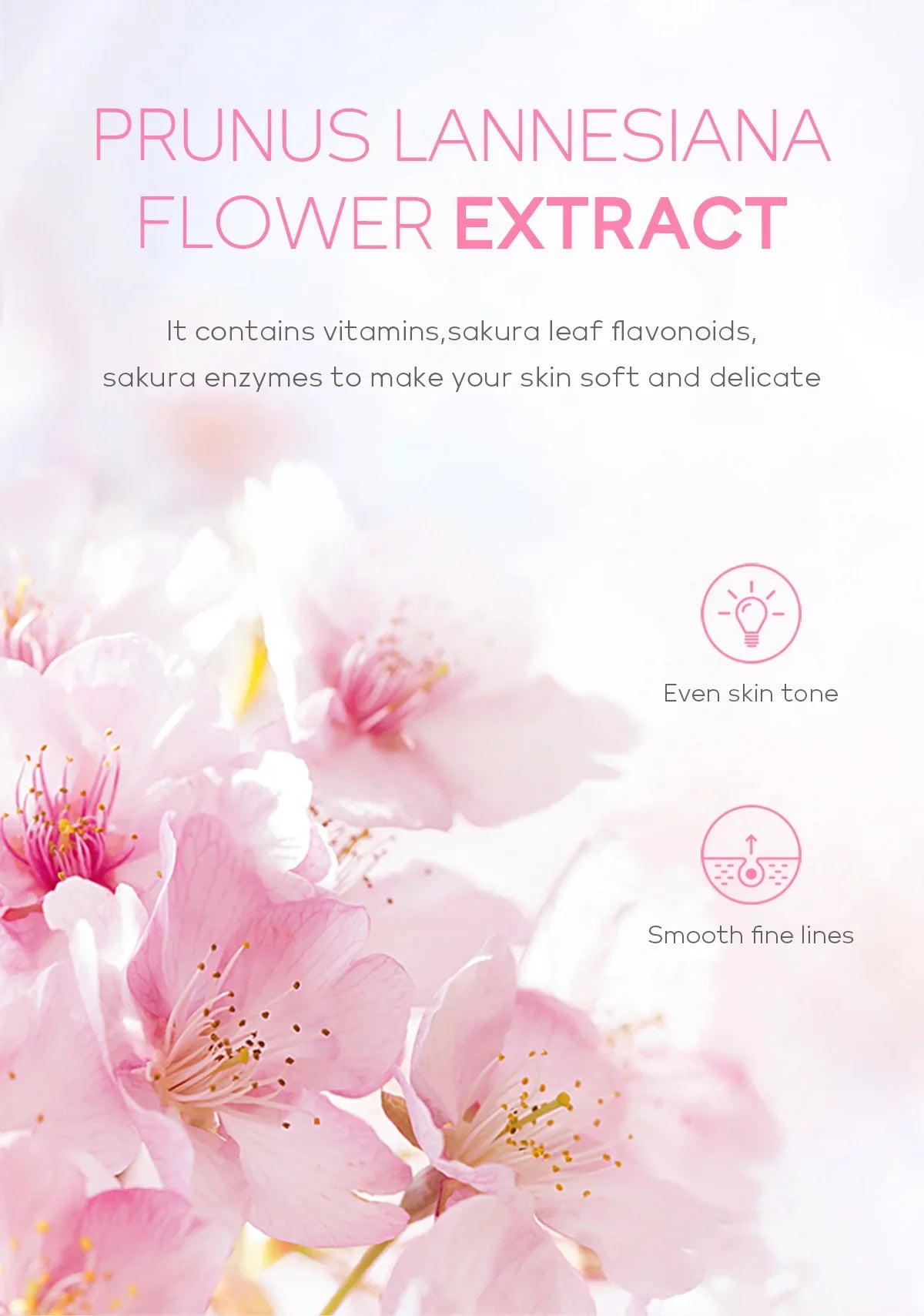 Sakura Blossom Exfoliating Gel – Deep Clean, Brighten & Hydrate Facial Skin Repair